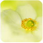 ������ �������� ������ �������� ������� �������