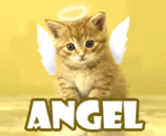 Котик-ангел смайлики картинки гиф анимации скачать