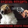 Будешь флудить, застрелю этого пса смайлики картинки гиф анимации скачать