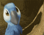 Танцующий попугай из мф &amp;#39;рио&amp;#39; смайлики картинки гиф анимации скачать