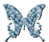 Игра "Бабочки" - Страница 2 737251490