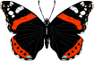 Игра "Бабочки" - Страница 2 876246495