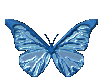 Игра "Бабочки" - Страница 2 964487676