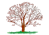 Осеннее дерево - весеннее дерево смайлики картинки гиф анимации скачать