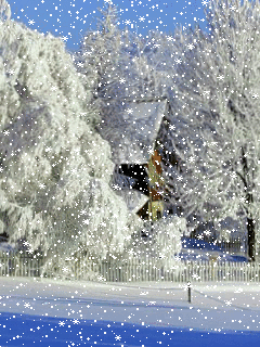 901048946.gif?1578322972