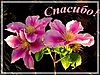 Спасибо! Цветы смайлики картинки гиф анимации скачать