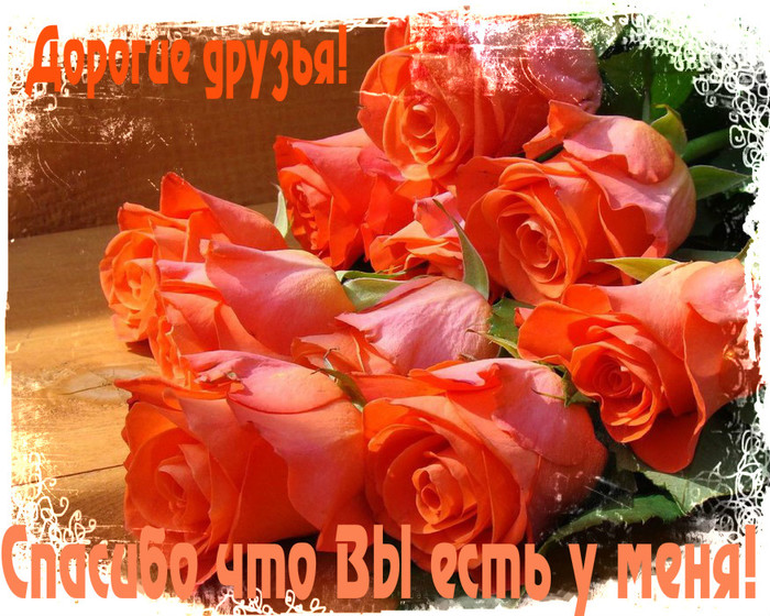 Открытки. Дорогие друзья! Спасибо, что вы есть у меня! смайлики картинки гиф анимации скачать