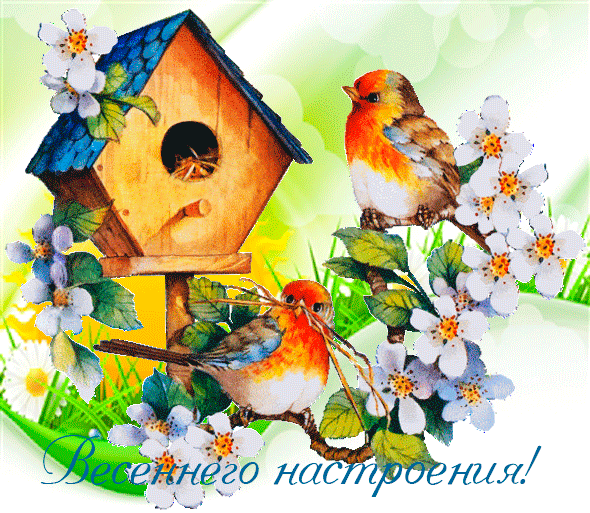 С Днем птиц! Весеннего настроения! смайлики картинки гиф анимации скачать